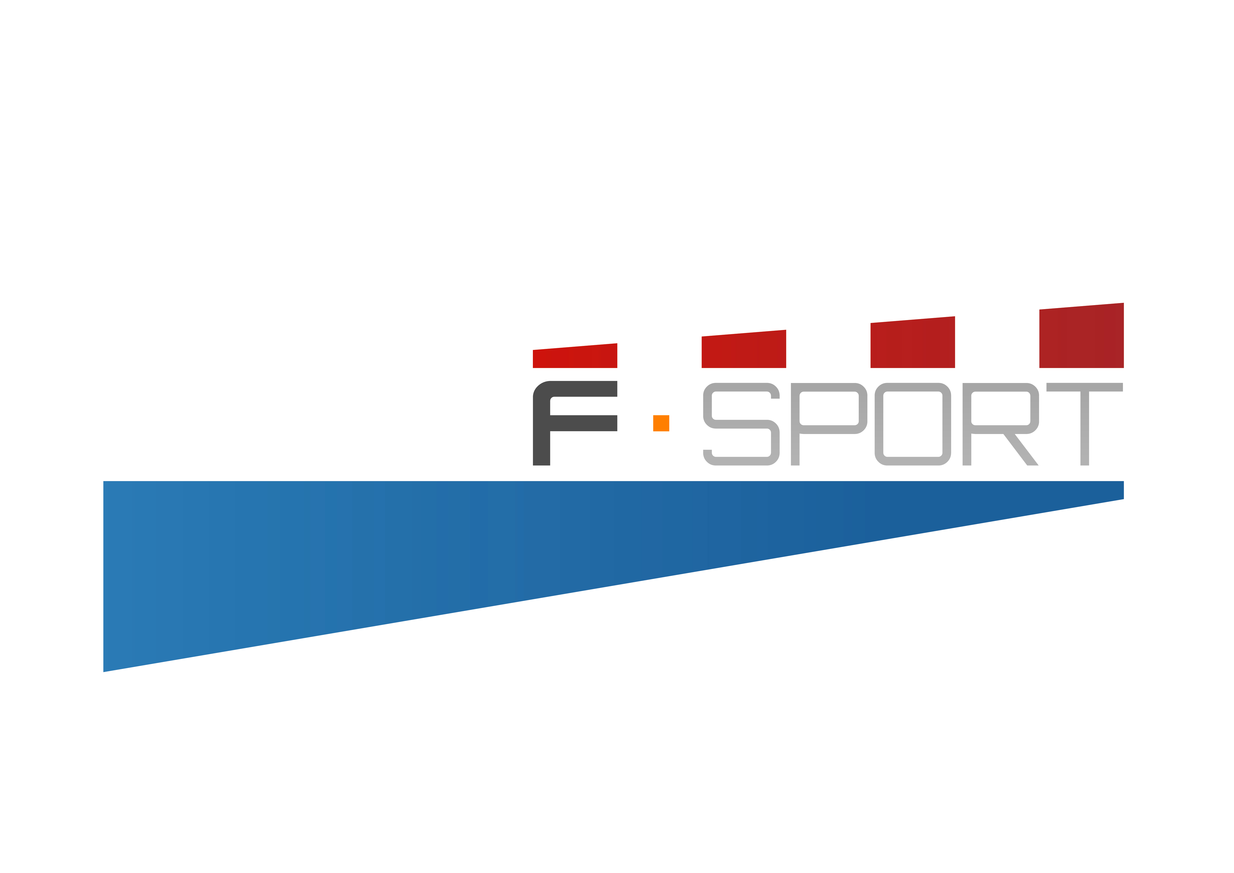 190222 fsport logo algemeen groot.JPG